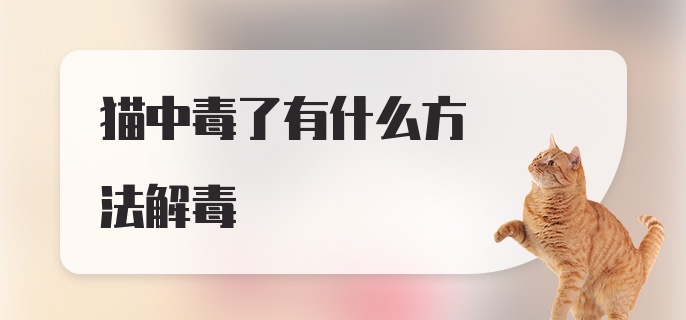 猫中毒了有什么方法解毒