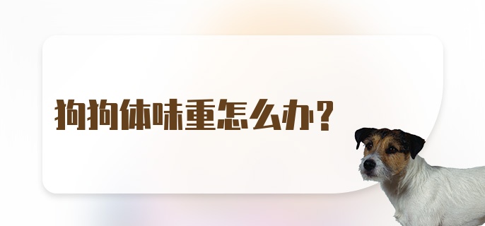 狗狗体味重怎么办？