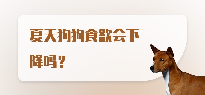 夏天狗狗食欲会下降吗？