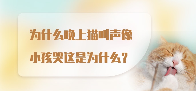 为什么晚上猫叫声像小孩哭这是为什么？