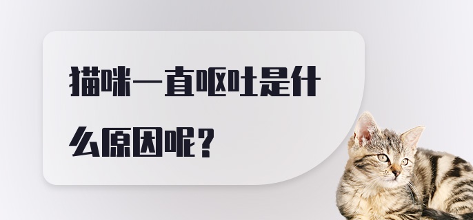 猫咪一直呕吐是什么原因呢？