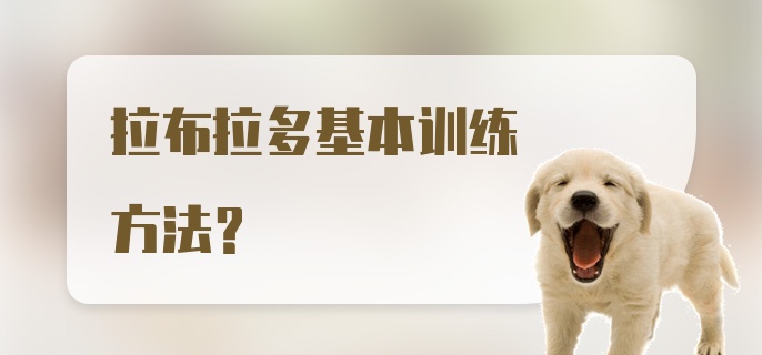 拉布拉多基本训练方法？