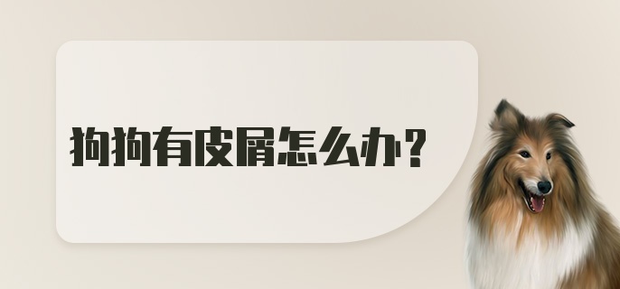 狗狗有皮屑怎么办?