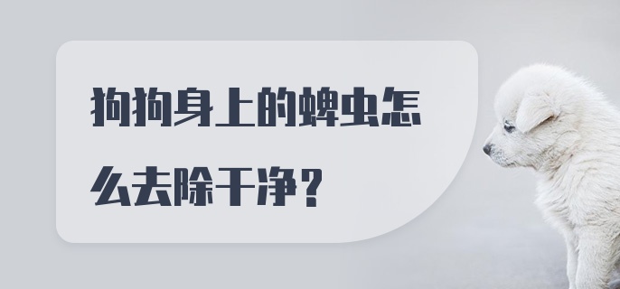 狗狗身上的蜱虫怎么去除干净？