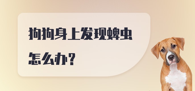 狗狗身上发现蜱虫怎么办？