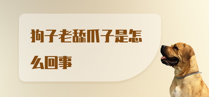 狗子老舔爪子是怎么回事