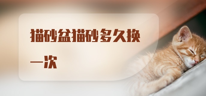 猫砂盆猫砂多久换一次