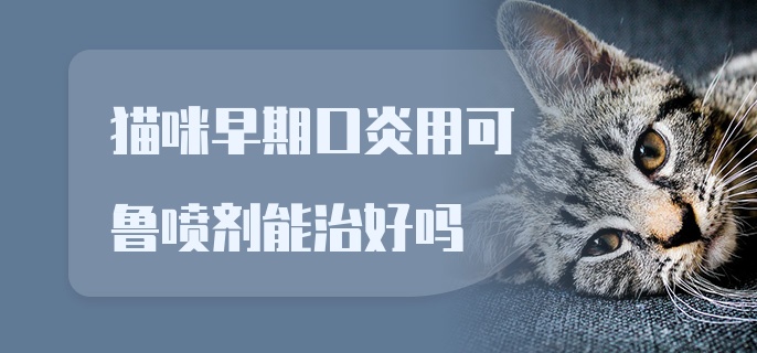 猫咪早期口炎用可鲁喷剂能治好吗