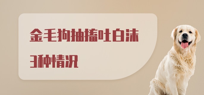 金毛狗抽搐吐白沫3种情况