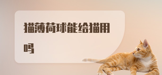 猫薄荷球能给猫用吗