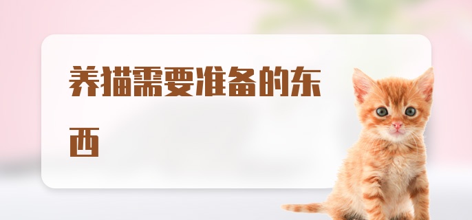 养猫需要准备的东西