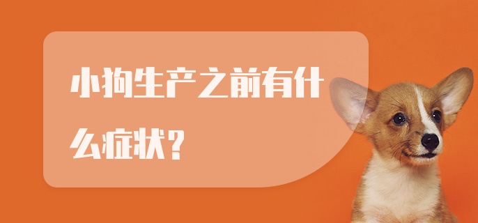 小狗生产之前有什么症状？