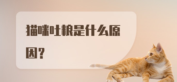 猫咪吐粮是什么原因？