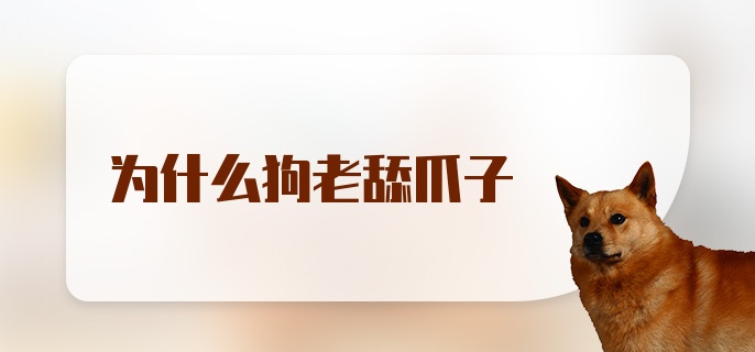 为什么狗老舔爪子