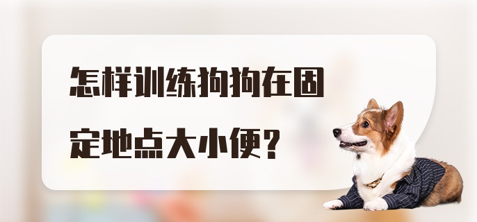 怎样训练狗狗在固定地点大小便？