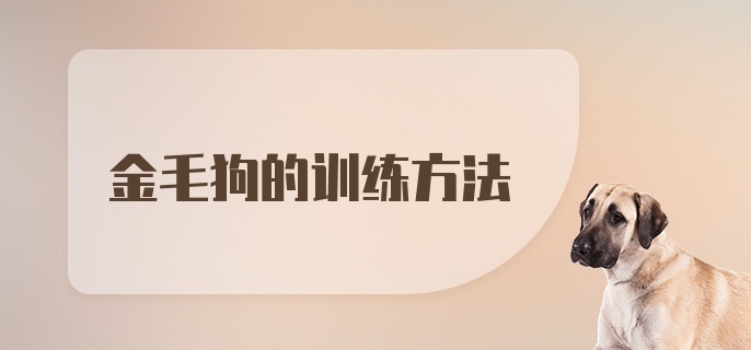 金毛狗的训练方法