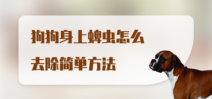 狗狗身上蜱虫怎么去除简单方法