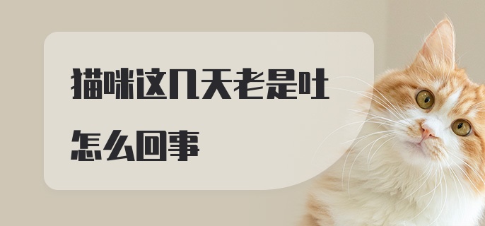 猫咪这几天老是吐怎么回事