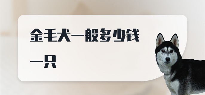 金毛犬一般多少钱一只