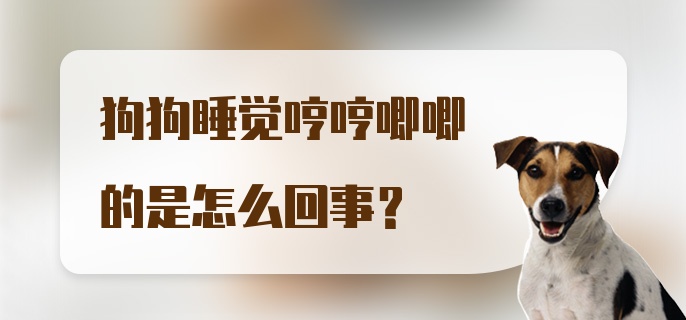 狗狗睡觉哼哼唧唧的是怎么回事？