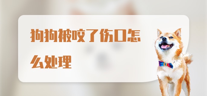 狗狗被咬了伤口怎么处理