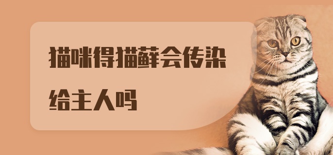 猫咪得猫藓会传染给主人吗