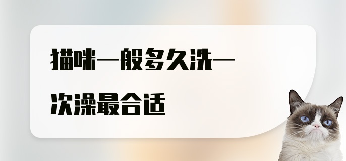 猫咪一般多久洗一次澡最合适