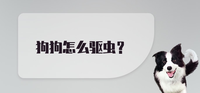 狗狗怎么驱虫?