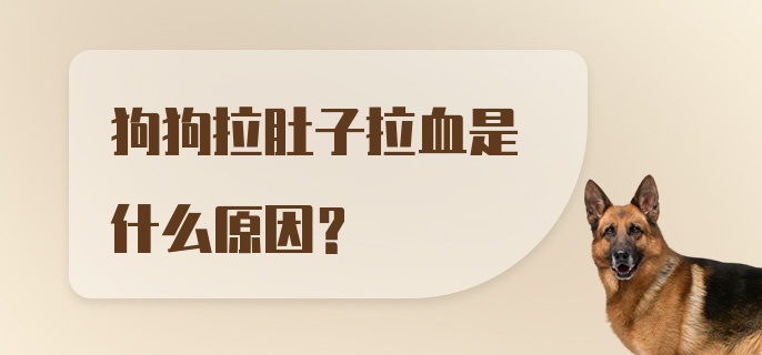 狗狗拉肚子拉血是什么原因？