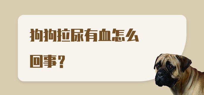 狗狗拉尿有血怎么回事？