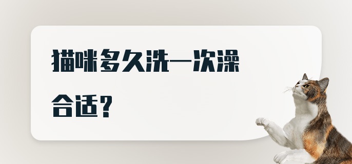 猫咪多久洗一次澡合适？