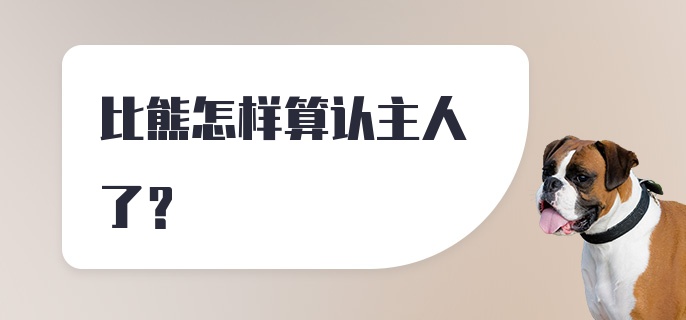 比熊怎样算认主人了？