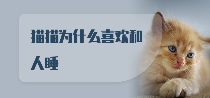 猫猫为什么喜欢和人睡