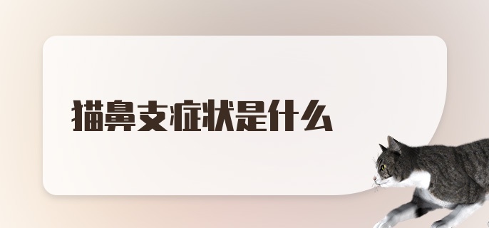 猫鼻支症状是什么