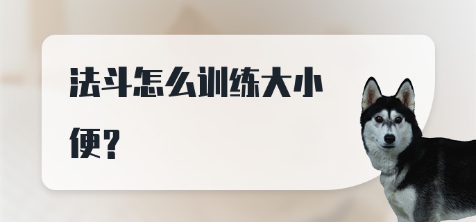 法斗怎么训练大小便?