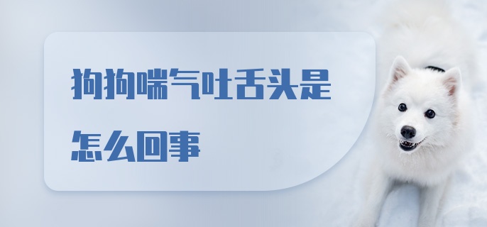 狗狗喘气吐舌头是怎么回事