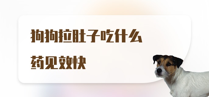 狗狗拉肚子吃什么药见效快