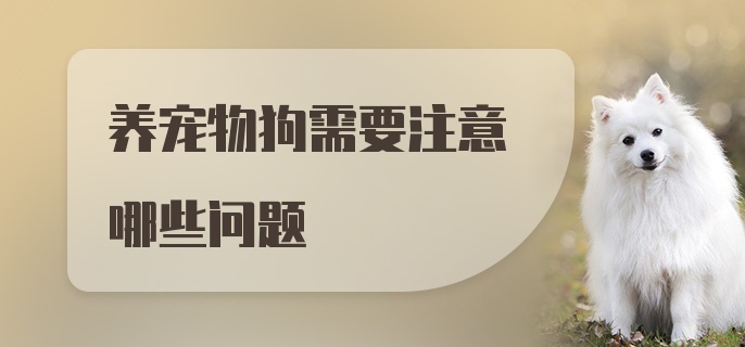 养宠物狗需要注意哪些问题