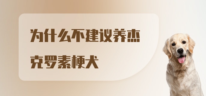 为什么不建议养杰克罗素梗犬