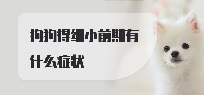 狗狗得细小前期有什么症状