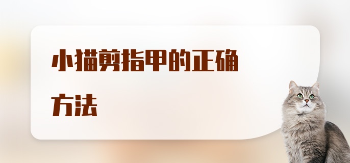 小猫剪指甲的正确方法