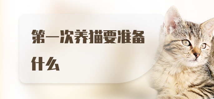 第一次养猫要准备什么