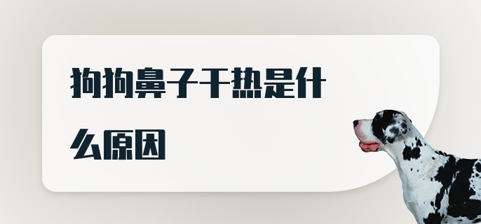 狗狗鼻子干热是什么原因