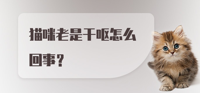 猫咪老是干呕怎么回事？