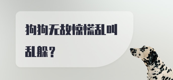 狗狗无故惊慌乱叫乱躲？