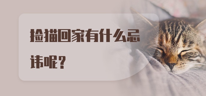 捡猫回家有什么忌讳呢？