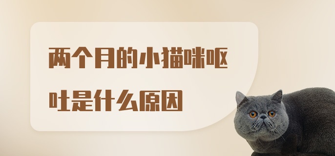 两个月的小猫咪呕吐是什么原因