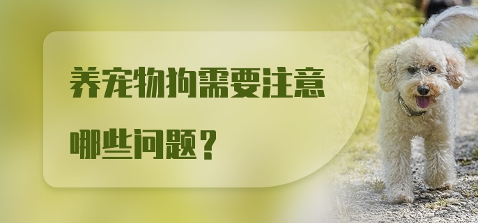 养宠物狗需要注意哪些问题？