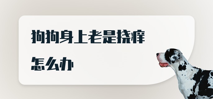 狗狗身上老是挠痒怎么办