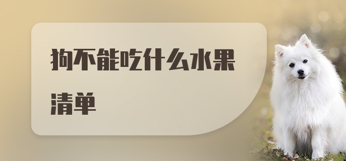 狗不能吃什么水果清单